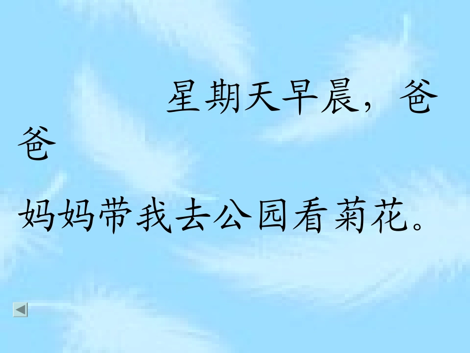 苏教版国标本一年级上册《8、看菊花》课件_第3页