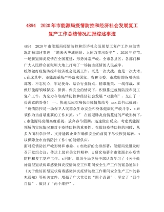 4894　2024年市能源局疫情防控和经济社会发展复工复产工作总结情况汇报综述事迹 