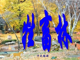 《牲畜林》课件3