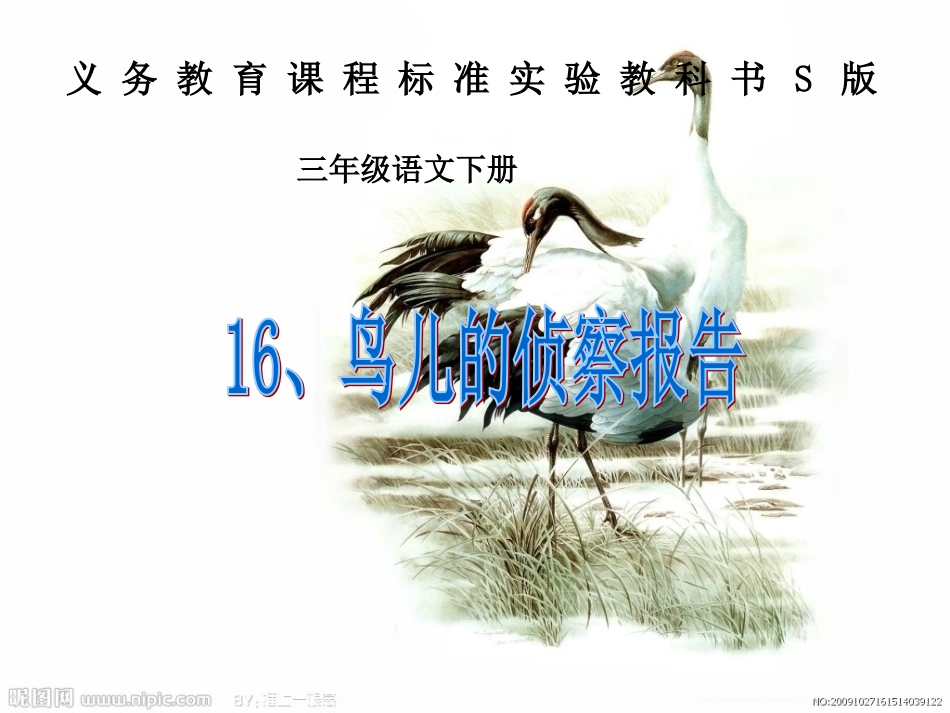 鸟儿的侦察报告_第1页