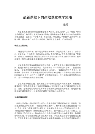 谈新课程下的高效课堂教学策略