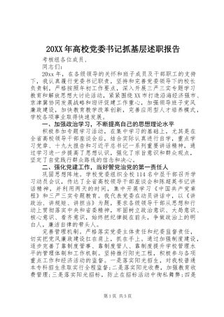 20XX年高校党委书记抓基层述职报告