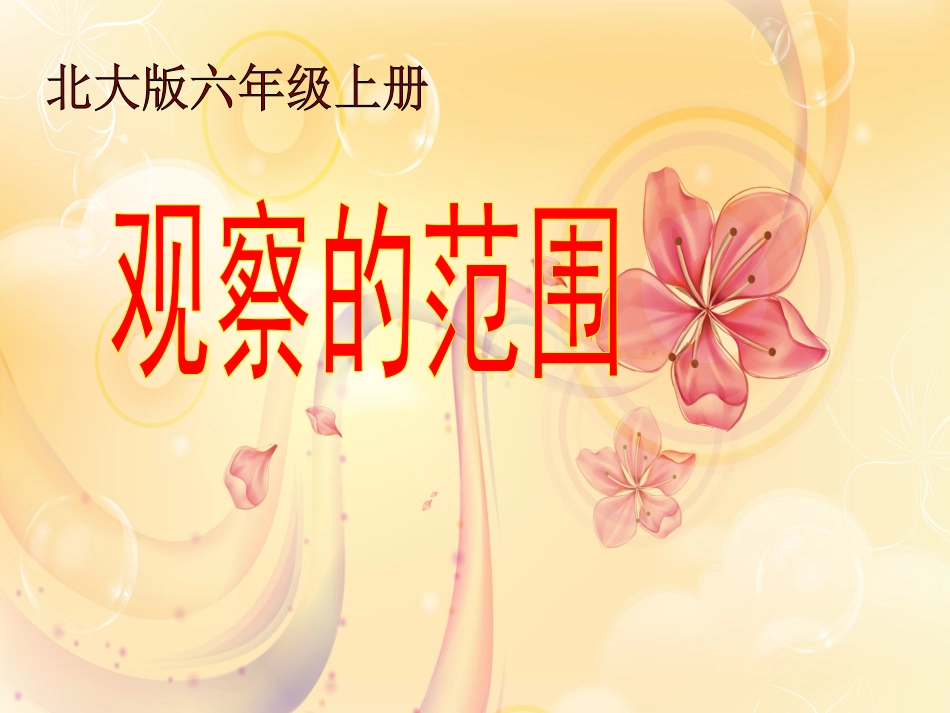 北师大版数学六年级上册《观察的范围》18课件_第2页