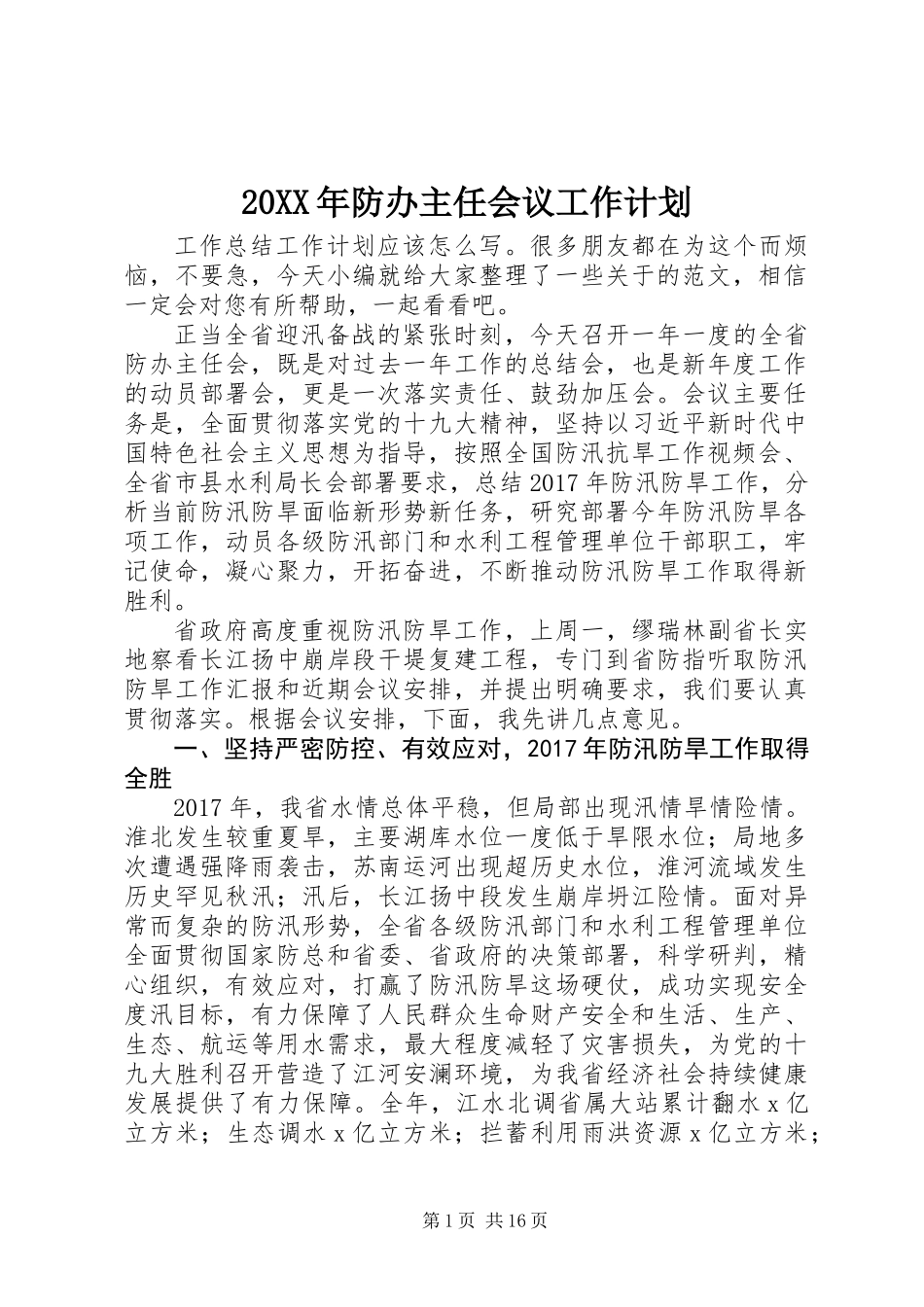 20XX年防办主任会议工作计划_第1页