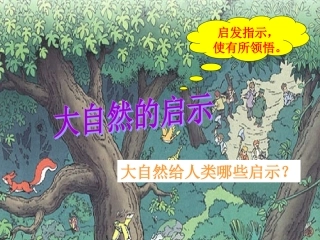 大自然的启示