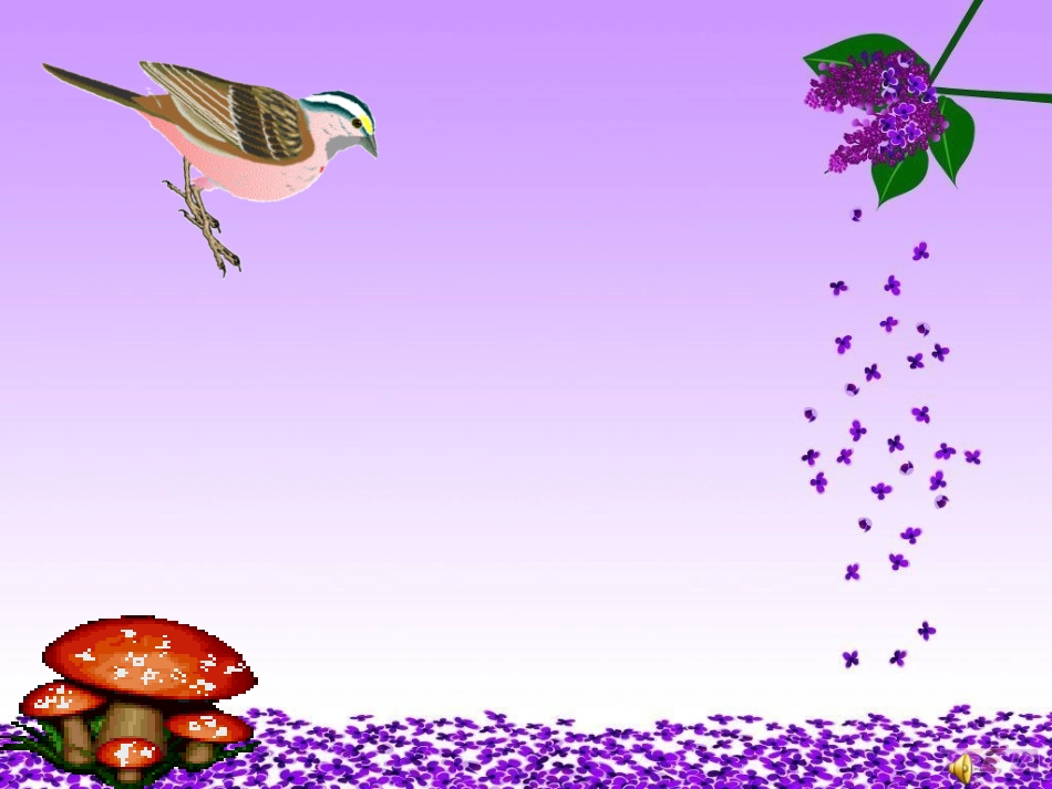 其他动物的生命周期_第1页