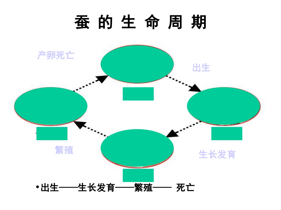 其他动物的生命周期_第3页