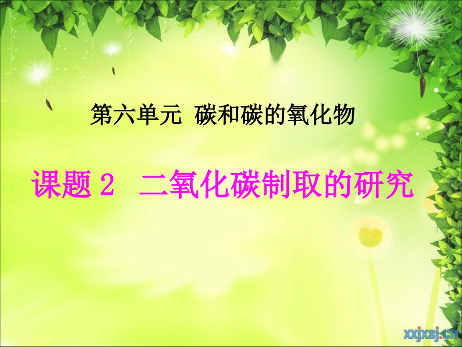 《二氧化碳制取的研究》课件_第2页