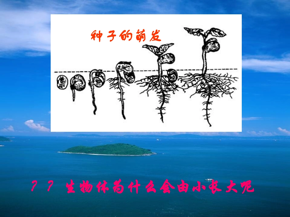 初一生物《细胞通过分裂产生新细胞》课件_第1页