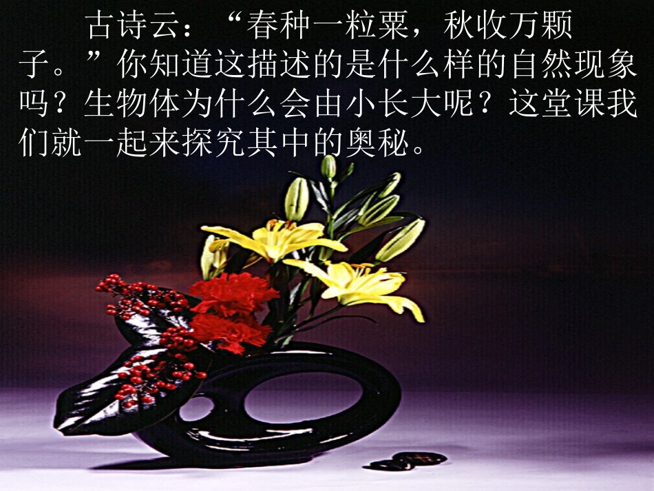 初一生物《细胞通过分裂产生新细胞》课件_第2页