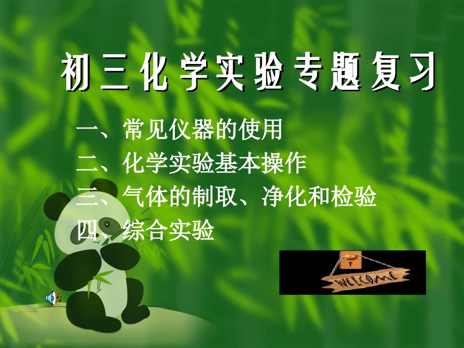 宋丽丽初三化学实验专题复习课件_第1页
