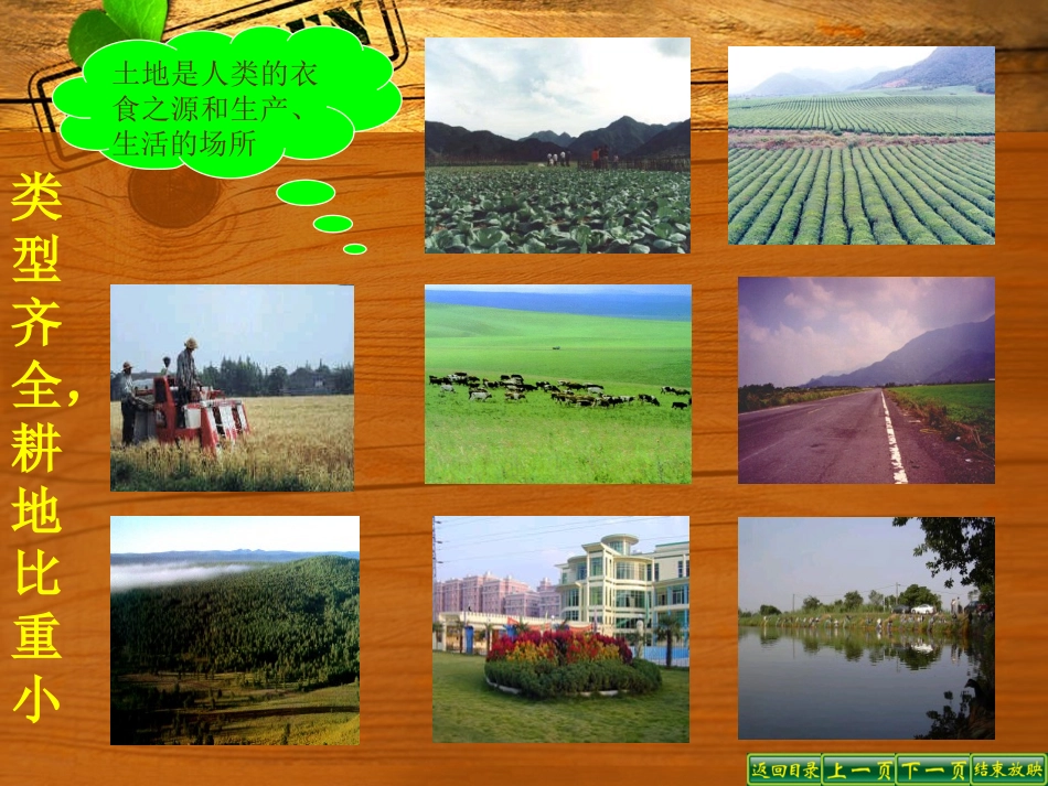 人教版八上第三章第二节土地资源（共23张PPT）_第3页