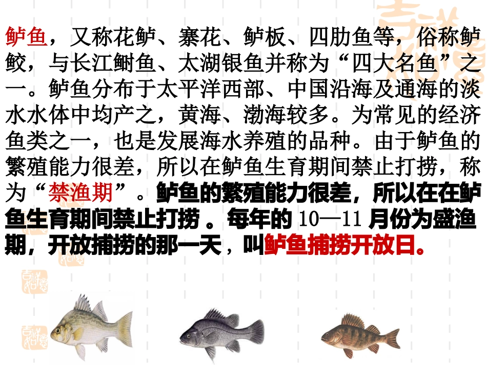 钓鱼的启示PPT_第2页