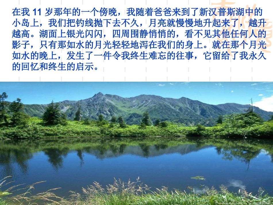 钓鱼的启示PPT_第3页