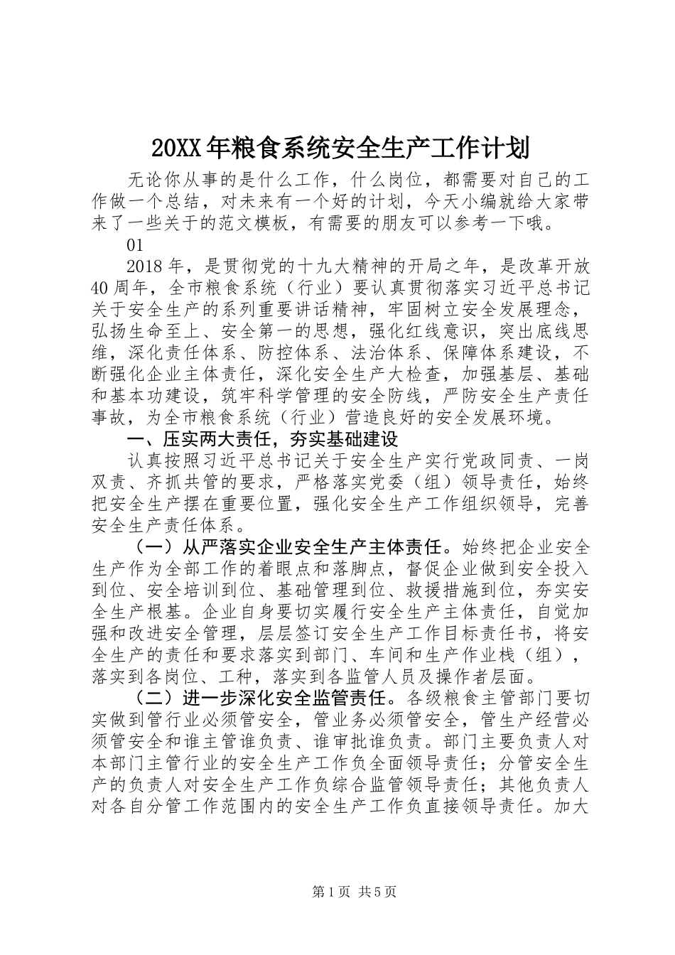 20XX年粮食系统安全生产工作计划_第1页