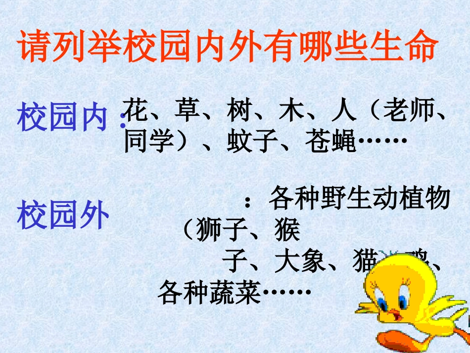 世界因生命而精彩2_第3页