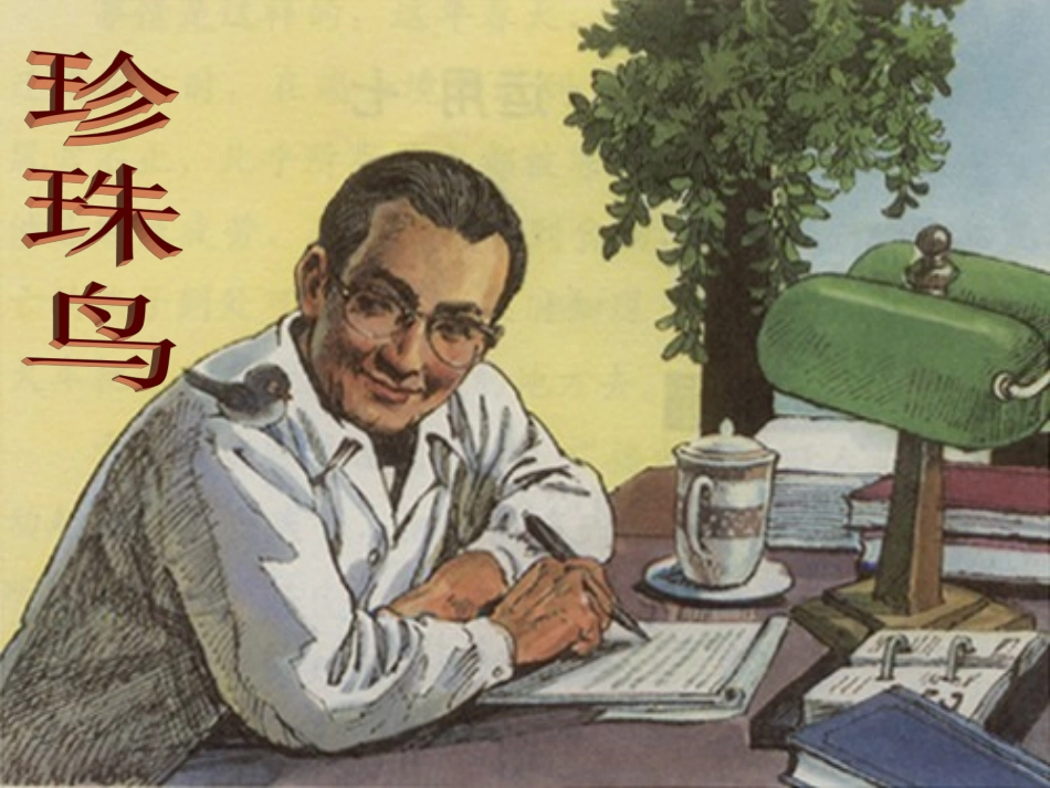 《珍珠鸟》课件1_第2页