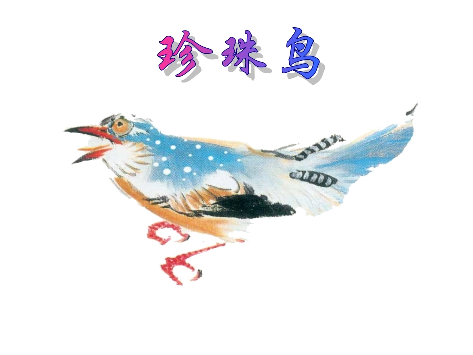 《珍珠鸟》课件1_第3页