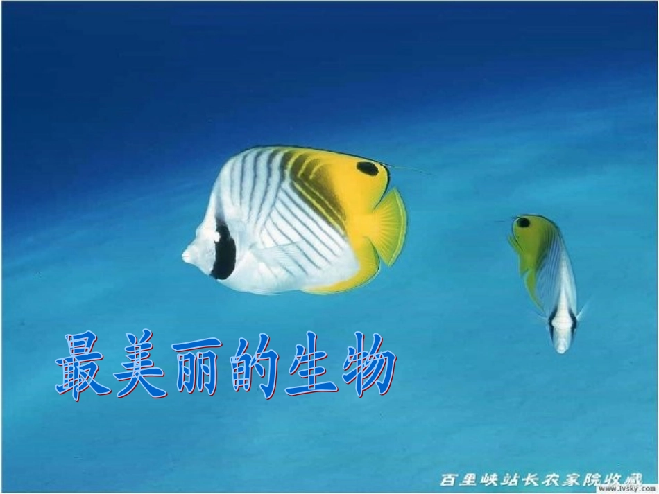 初一3班吉嘉枫我们所必需了解的生物_第3页