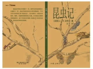 《绿色蝈蝈》课件