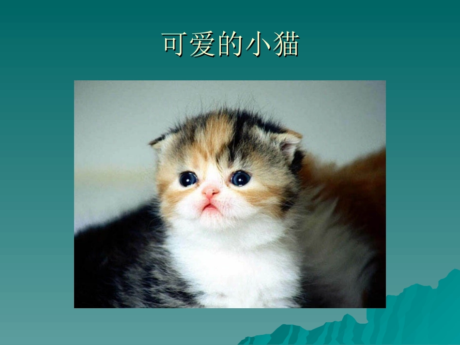 猫》教学课件_第2页