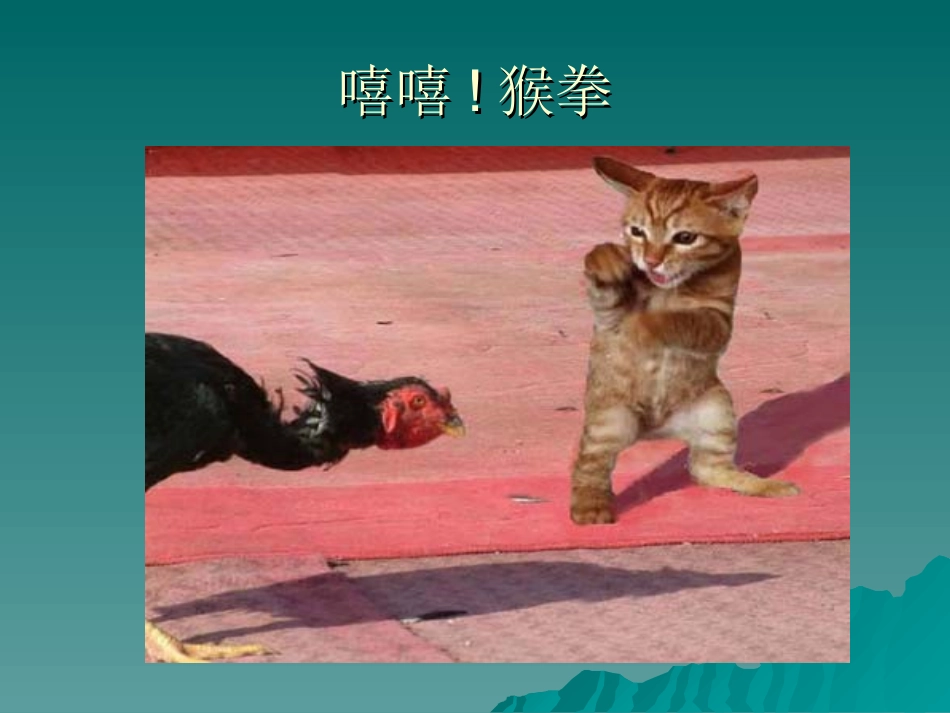 猫》教学课件_第3页