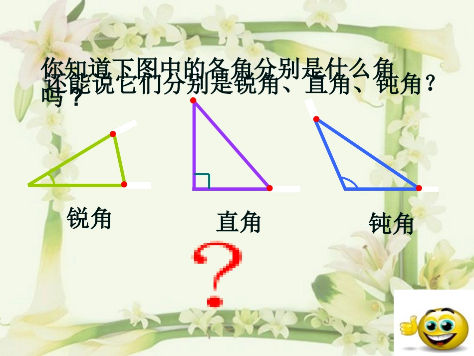 《三角形分类》课件_第2页