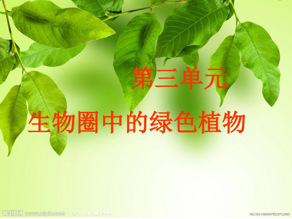 生物圈中的绿色植物_第1页