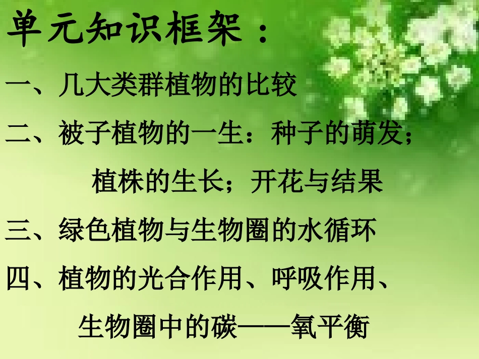 生物圈中的绿色植物_第2页