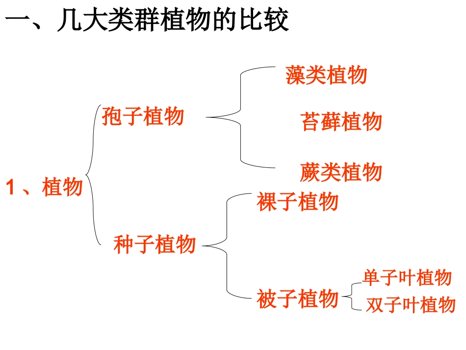 生物圈中的绿色植物_第3页