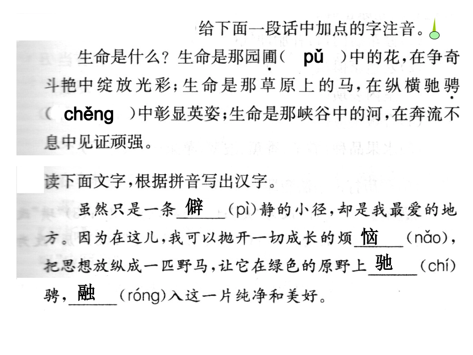 汉字听写大赛第四关看拼音写汉字看字写拼音_第3页