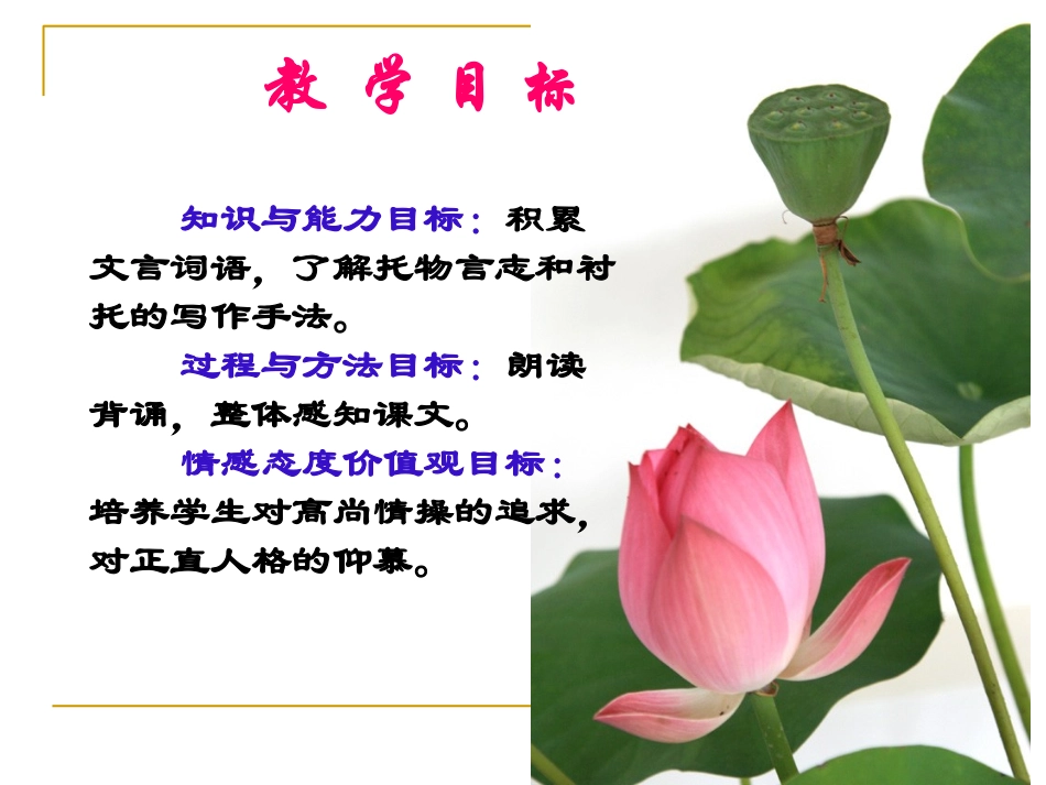 《爱莲说》说课课件（9页）_第3页