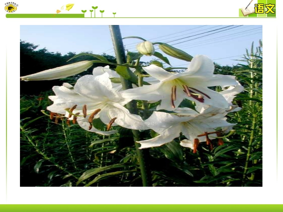 十四小说家谈小说_第3页