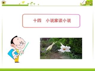 十四小说家谈小说