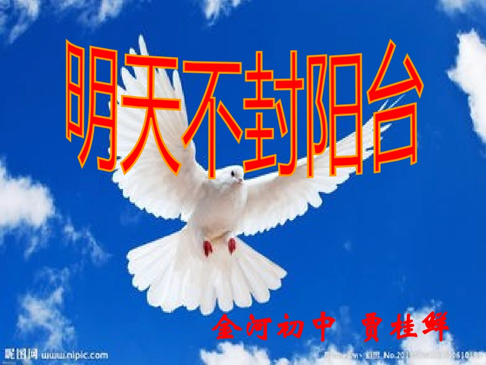 《明天不封阳台》_第1页