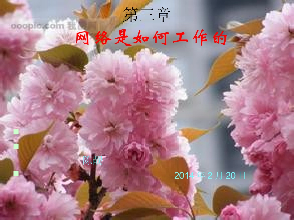 网络及网络的功能_第1页