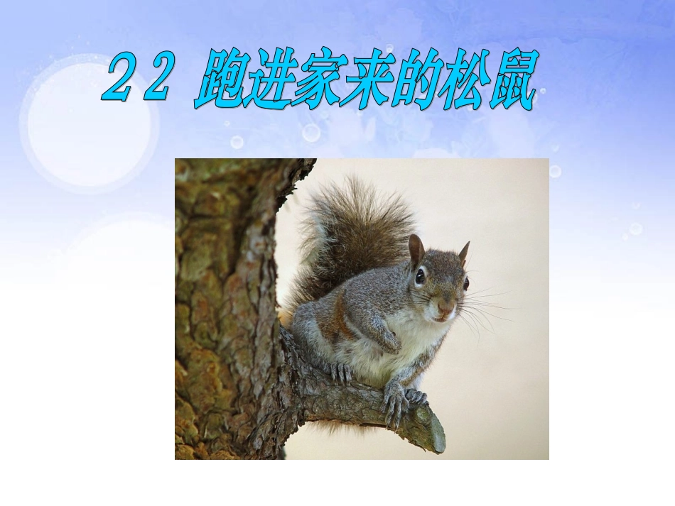 跑进家来的松鼠 (3)_第1页