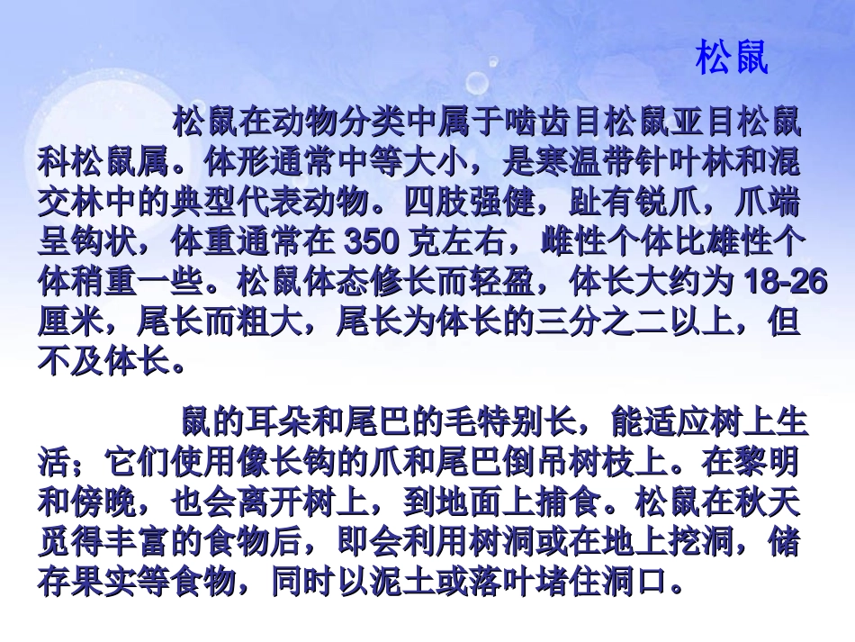 跑进家来的松鼠 (3)_第3页