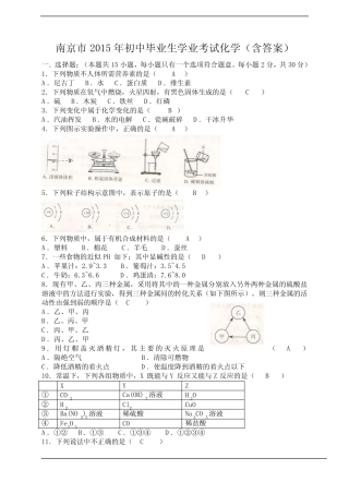 江苏省南京市2015年中考化学试题(含答案) 
