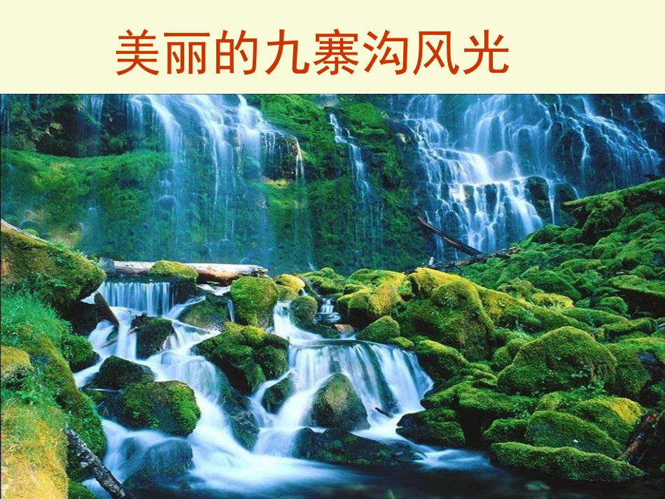 北师大版五年级数学上册《旅游费用》PPT课件_第3页