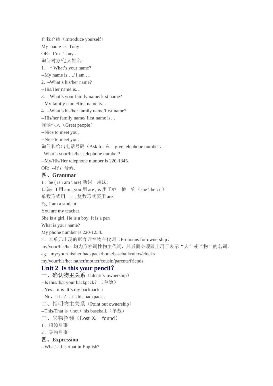 九年级英语中考第一轮复习_第2页