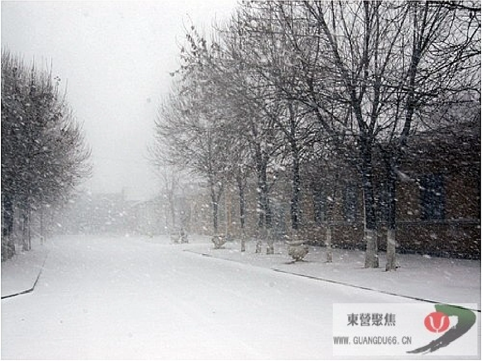 冬爷爷的图画i_第2页