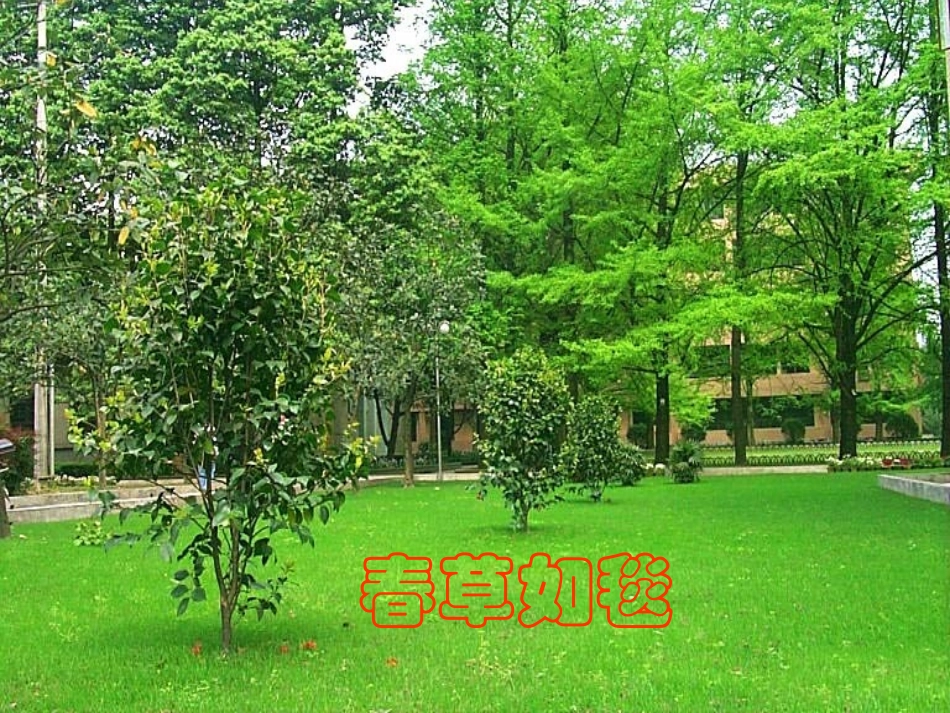 寻觅春天的踪迹_第1页