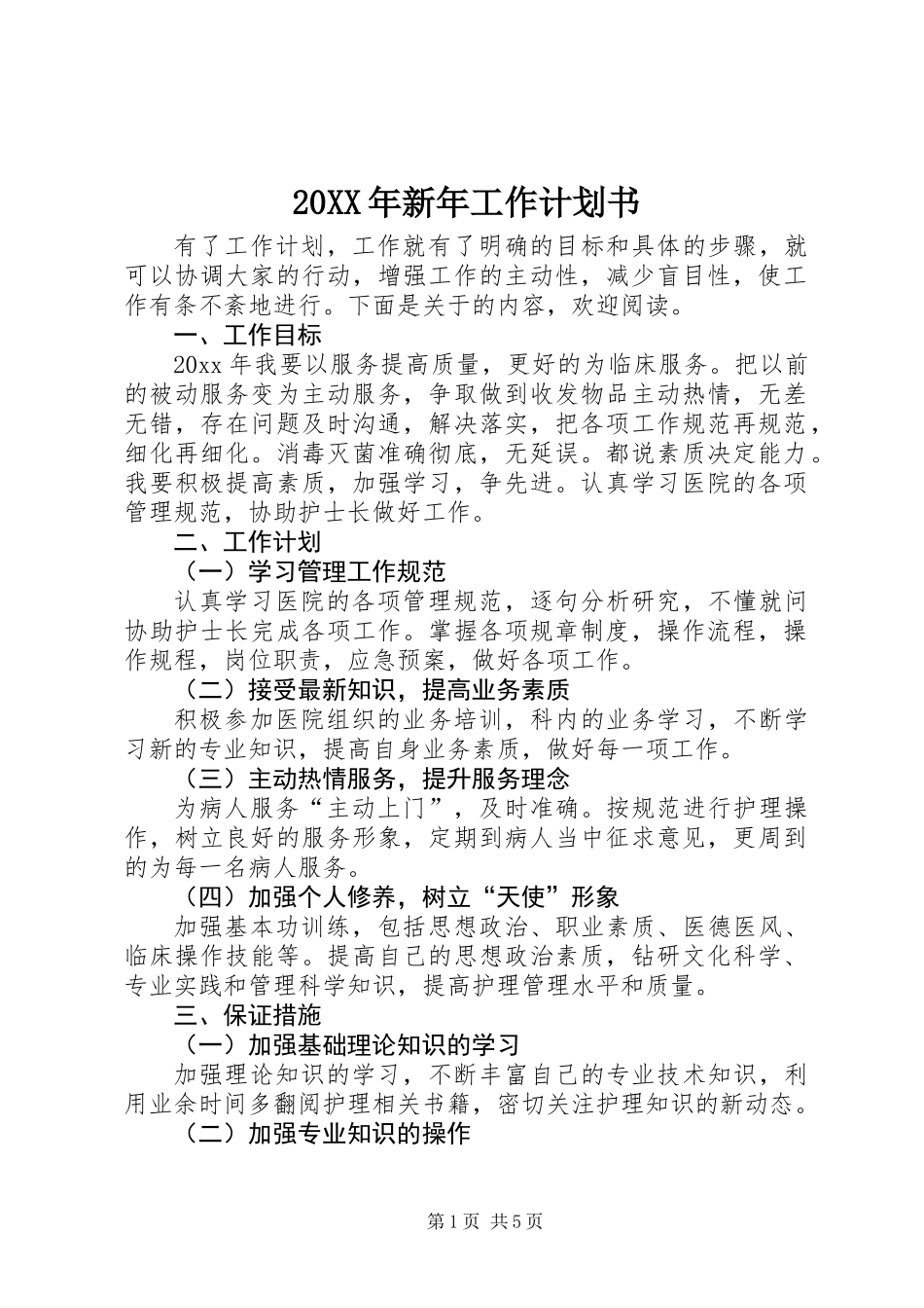 20XX年新年工作计划书_第1页