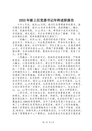20XX年新上任党委书记年终述职报告
