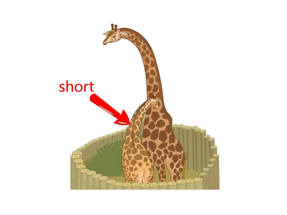 人教版pep（2012教材）小学三下Unit3AtthezooPeriodTwo课件_第3页