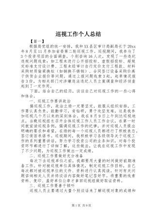 巡视工作个人总结