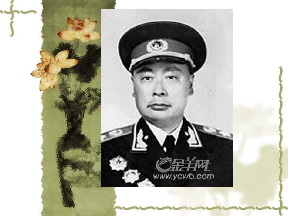 青松（课件）_第2页