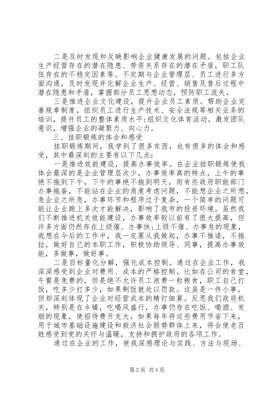 巡察办挂职总结_第2页