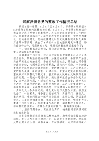 巡察反馈意见的整改工作情况总结